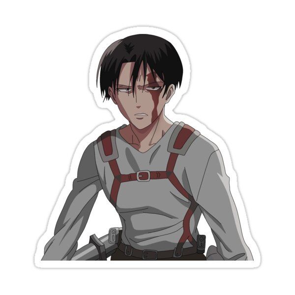 Levi